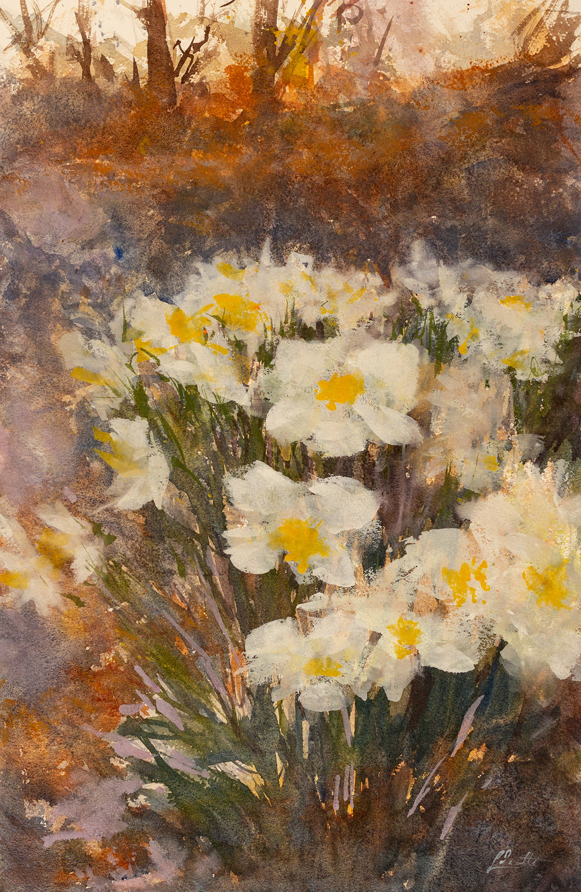 Daffodils by Lucy Iannotti, 