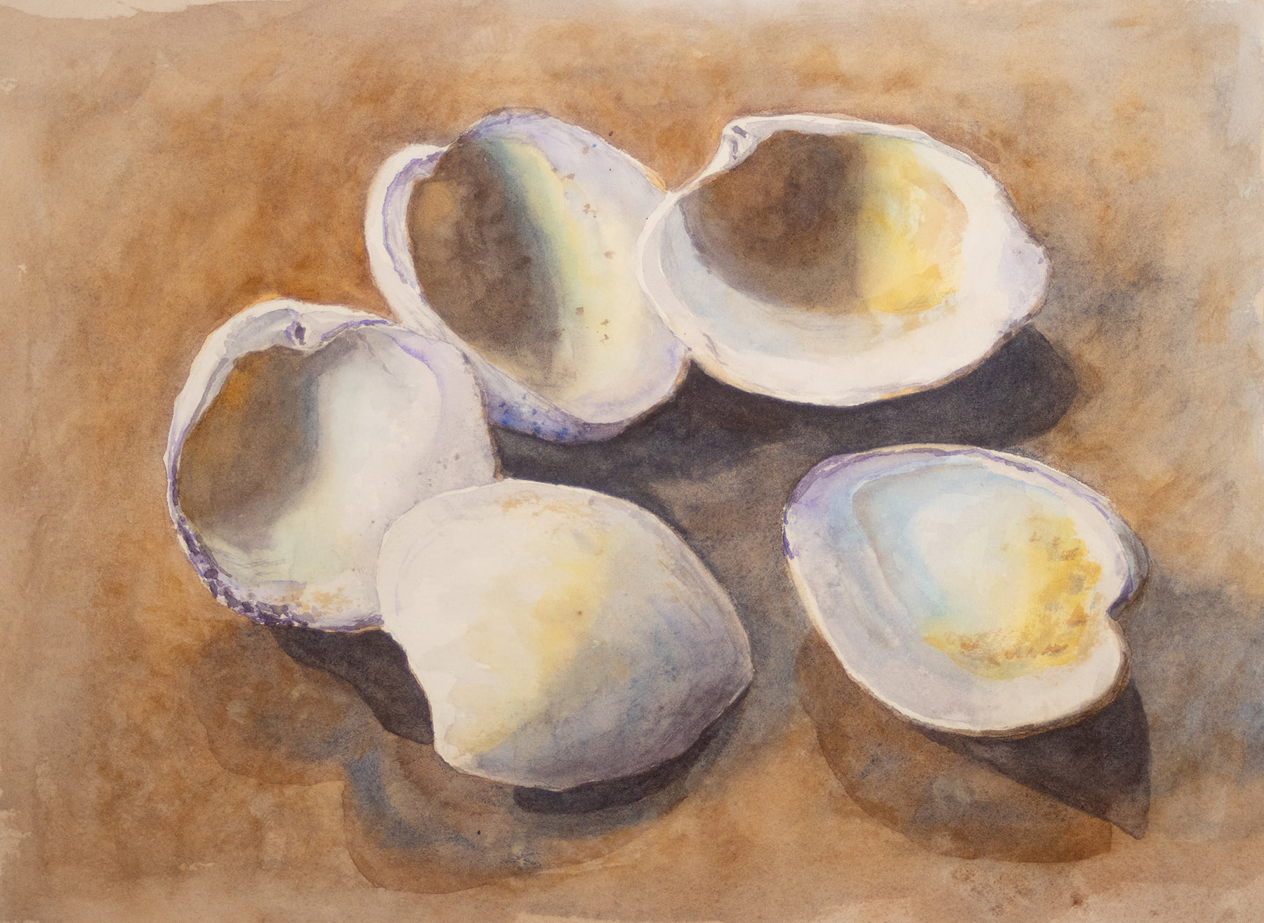 Quahogs by Lucy Iannotti, 