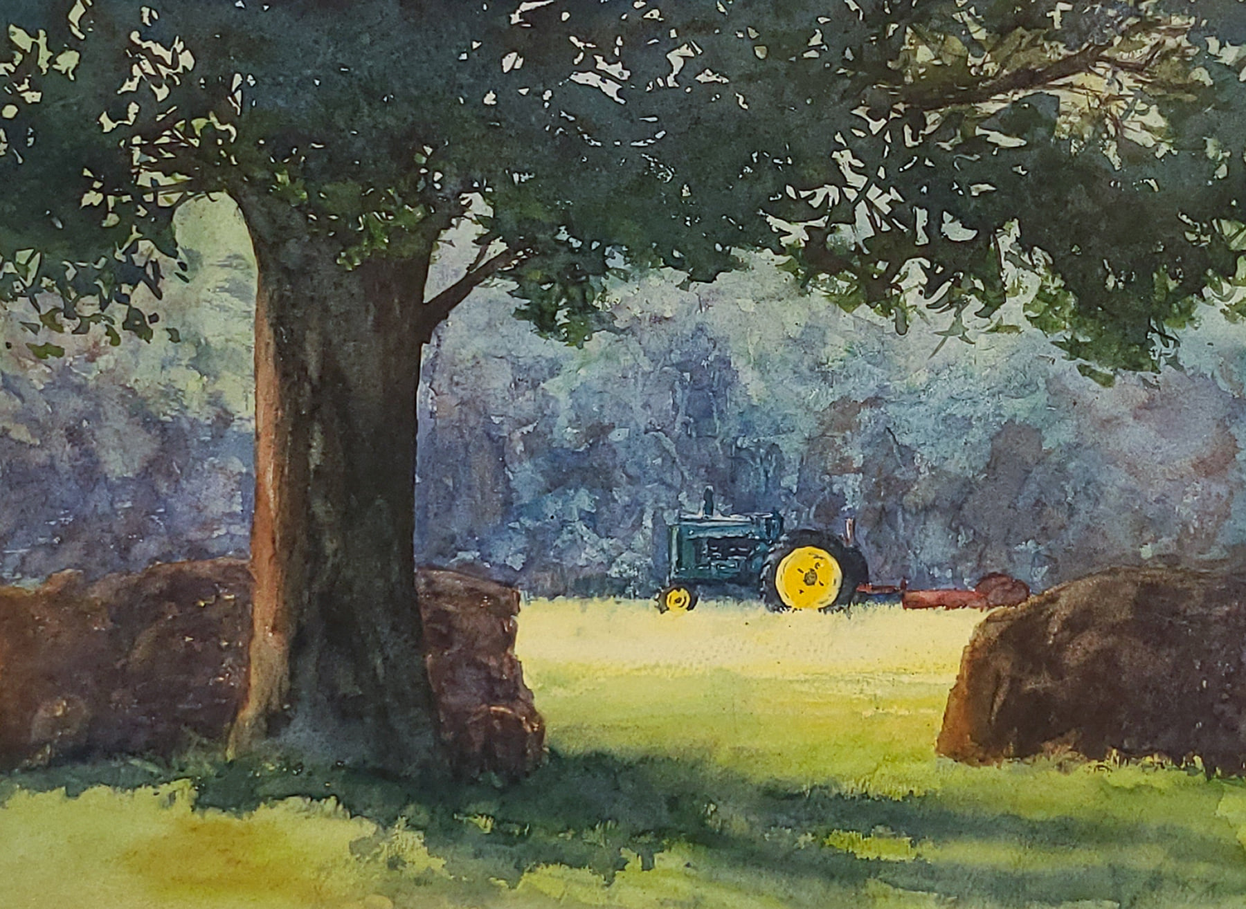 Shade Tree by Lucy Iannotti, 